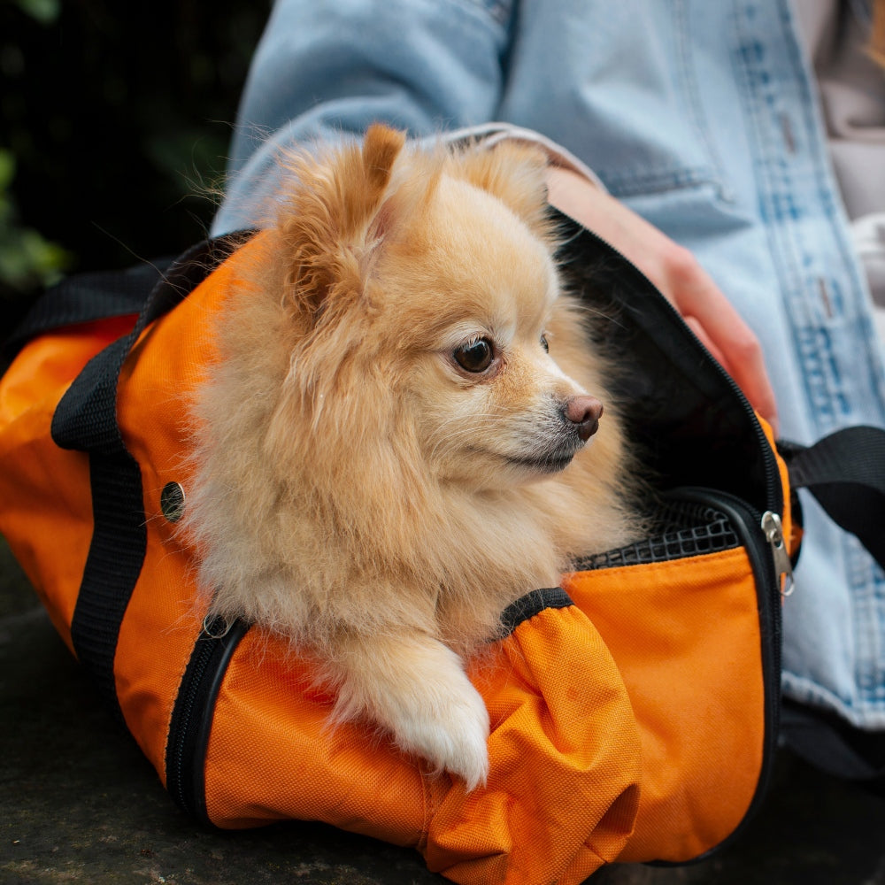 Traveling and Pet Care