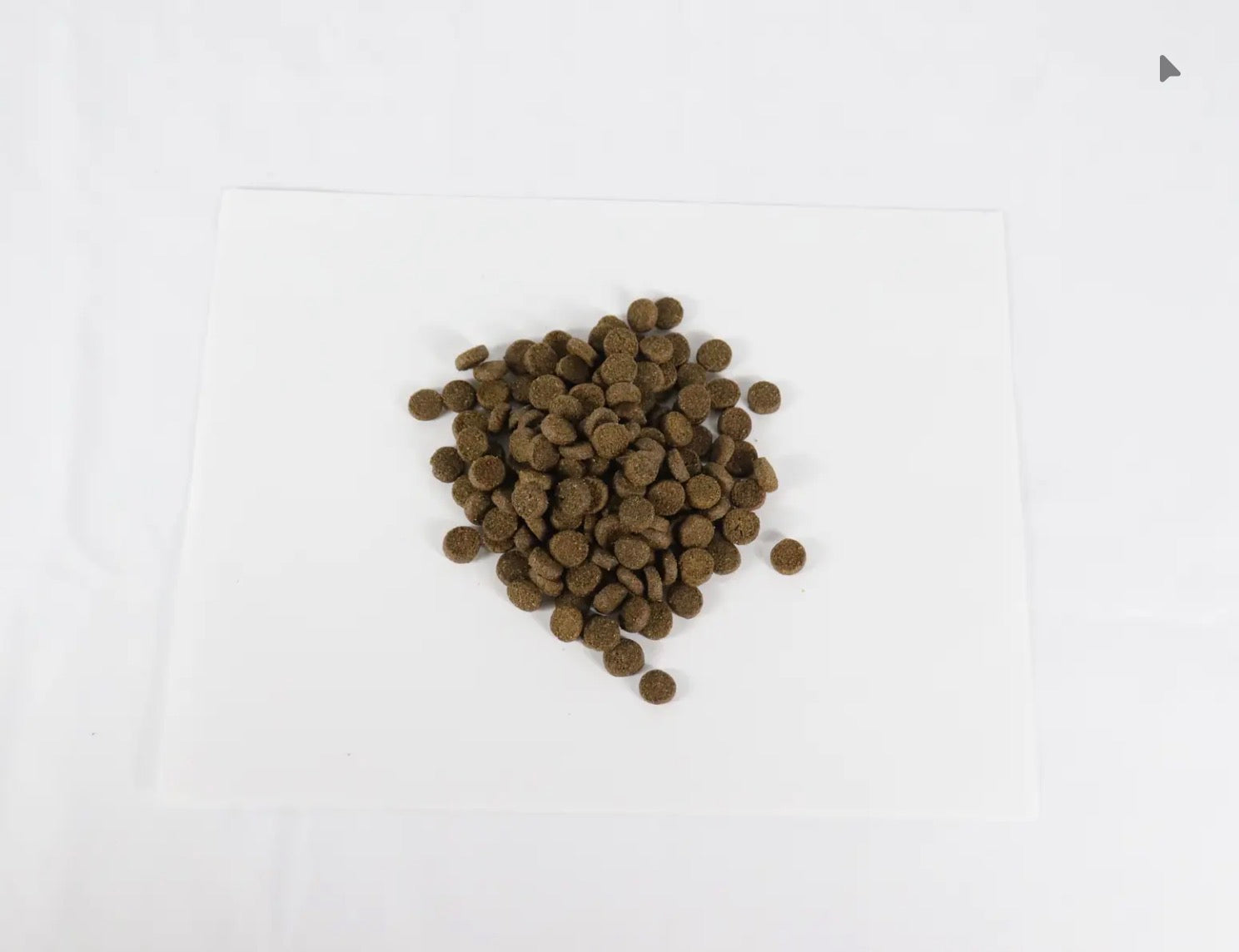 Buffalo Recipe Dry Dog Food – 22 lb