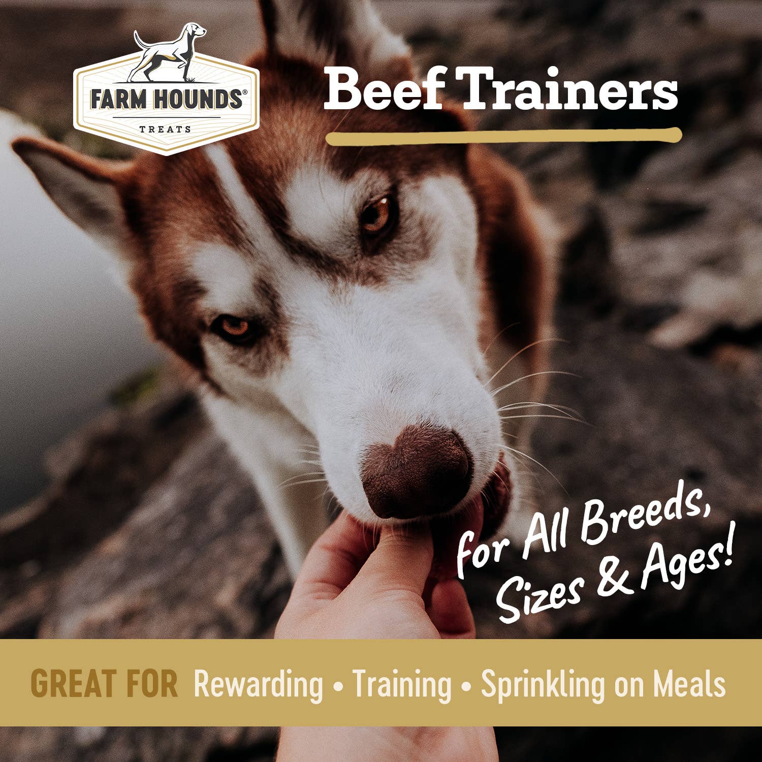 Beef Trainer - All-Natural Dog Treats - 4.5oz: 4.5oz
