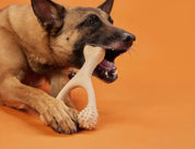 Betterbone Beef Dog Chew