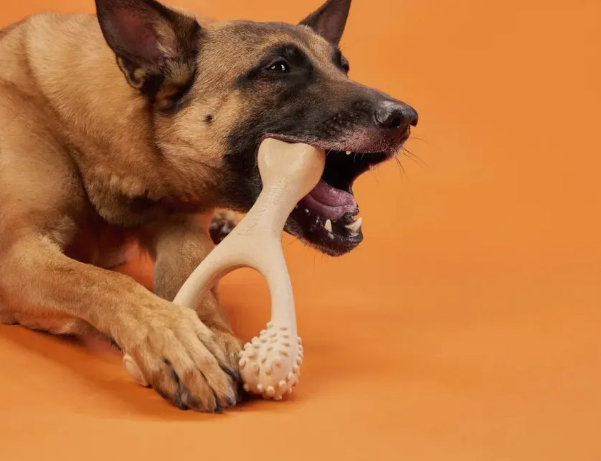 Betterbone Beef Dog Chew