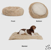 Donut Shag Bundle Bed and Blanket 36 x 36