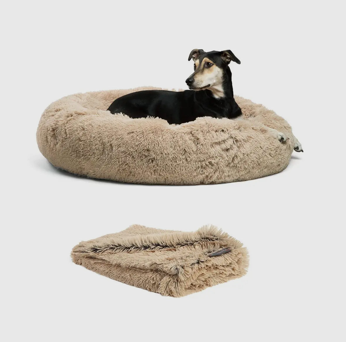 Donut Shag Bundle Bed and Blanket 36 x 36