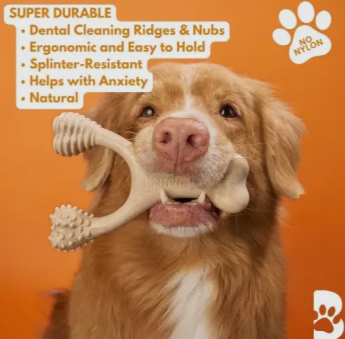 Betterbone Beef Dog Chew