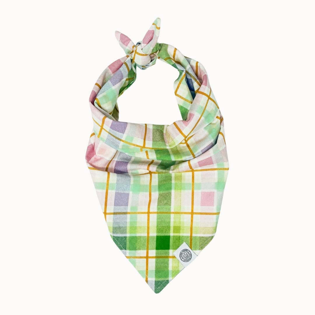 Buttercup Dog Bandana | Pastel Plaid Pet Scarf Accessory: Green / M