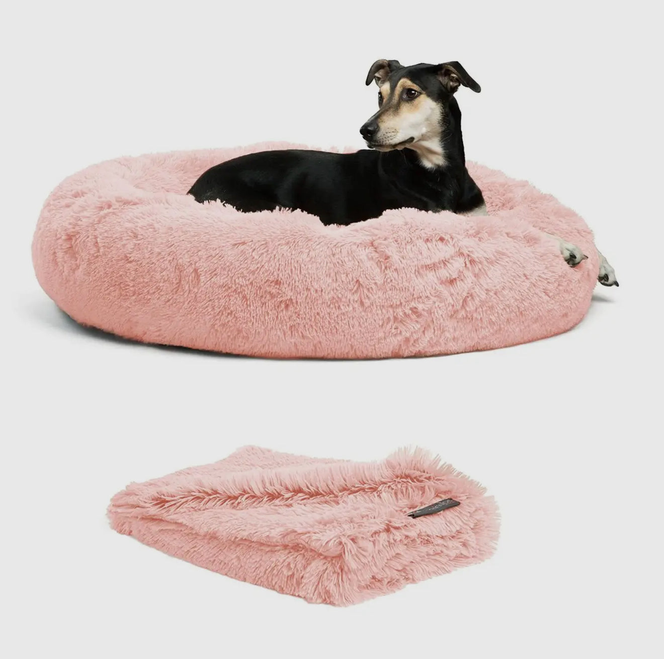 Donut Shag Bundle Bed and Blanket Candy Pink 36x36