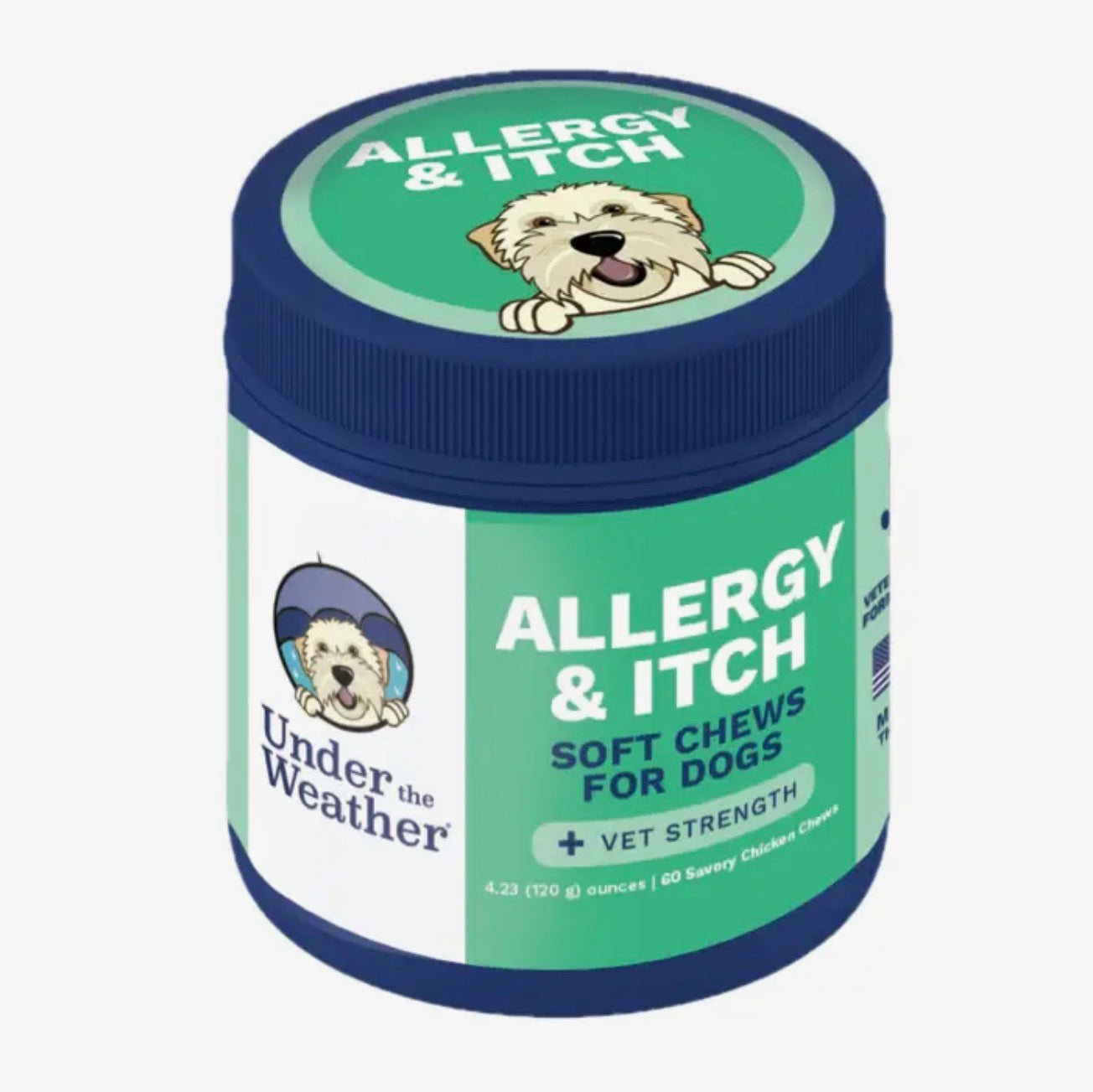 Allergy & Itch Soft Chews for Dogs | Skin, Coat & Immune Support (60ct)