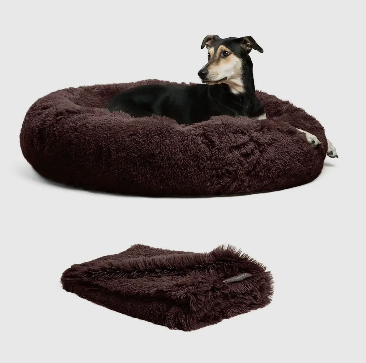 Donut Shag Bundle Bed and Blanket Dark Chocolate 36 x 36