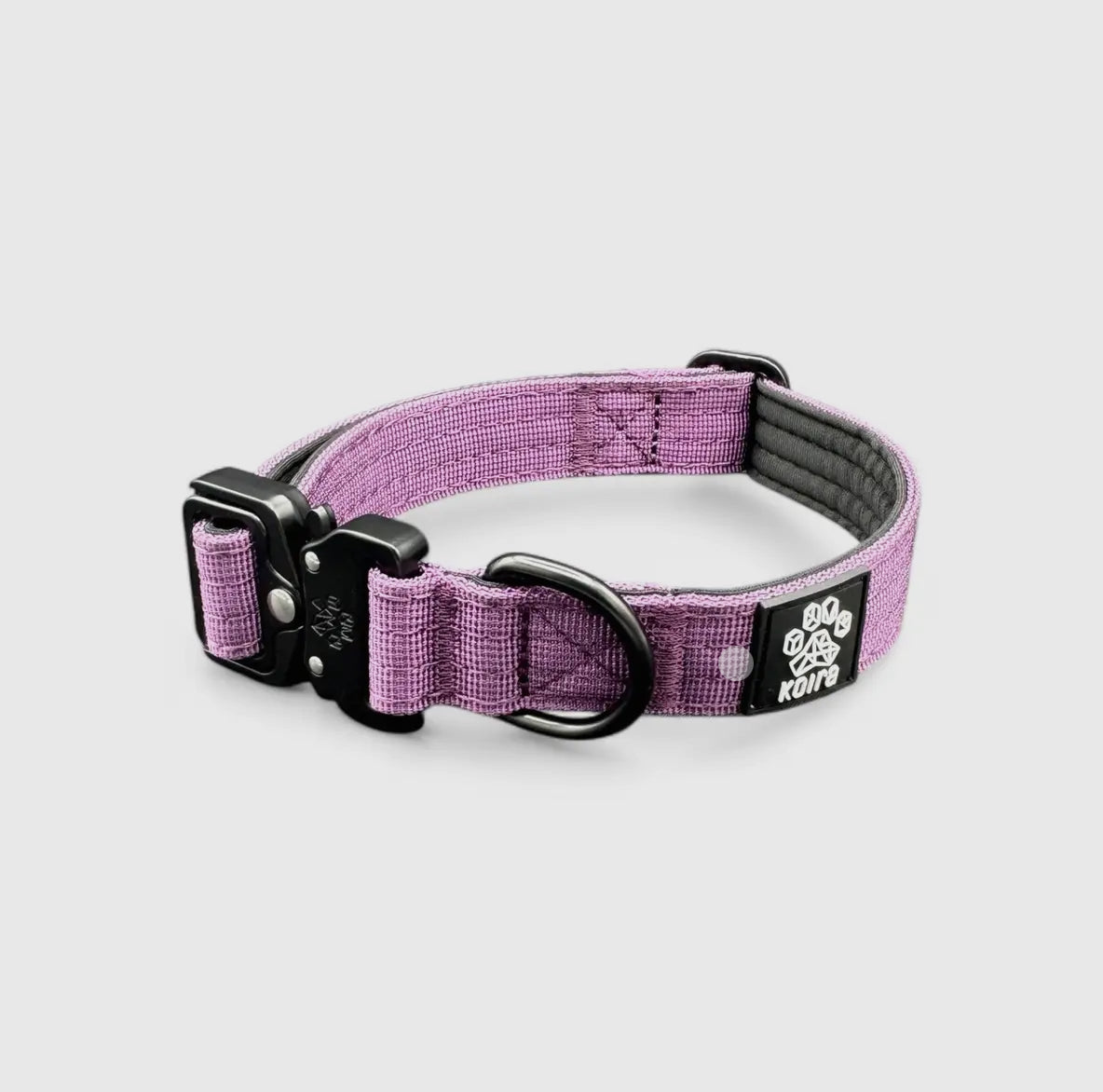 Durable Purple Nylon Dog Collar with Metal Buckle