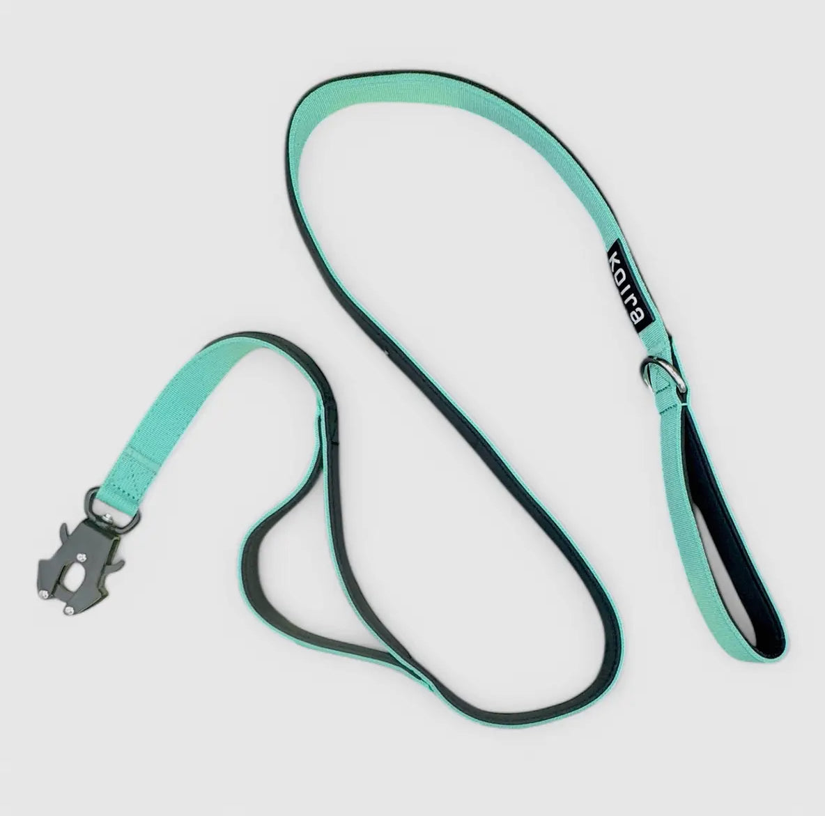 Mint Dual-Handle 5ft Dog Leash