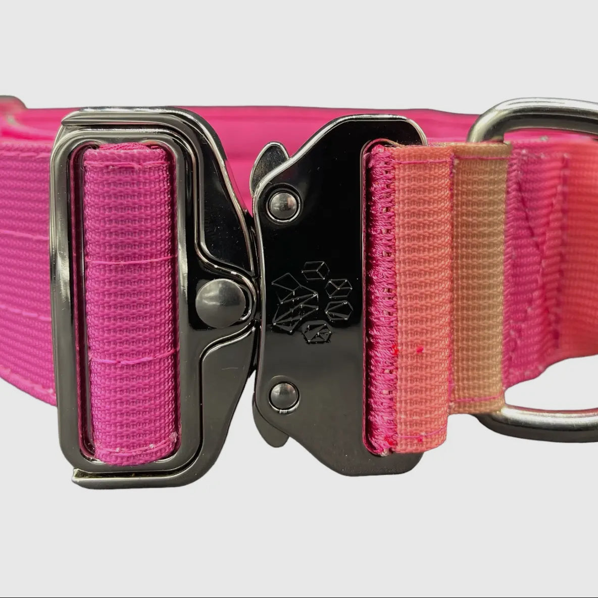Purple To Gradient Tactical Dog Collar