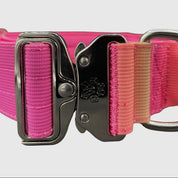 Purple To Gradient Tactical Dog Collar