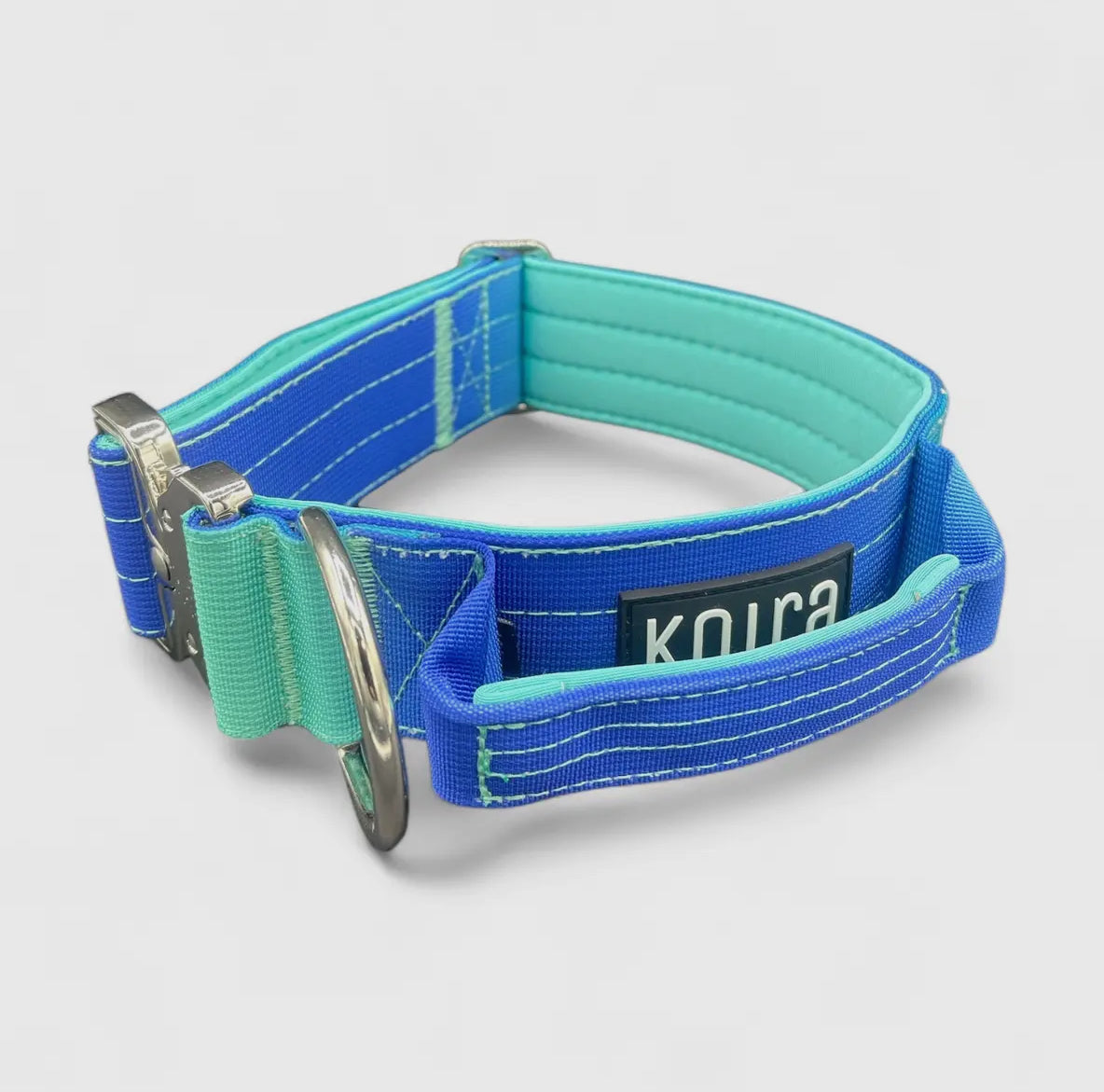 Blue To Dog Collar Gradient