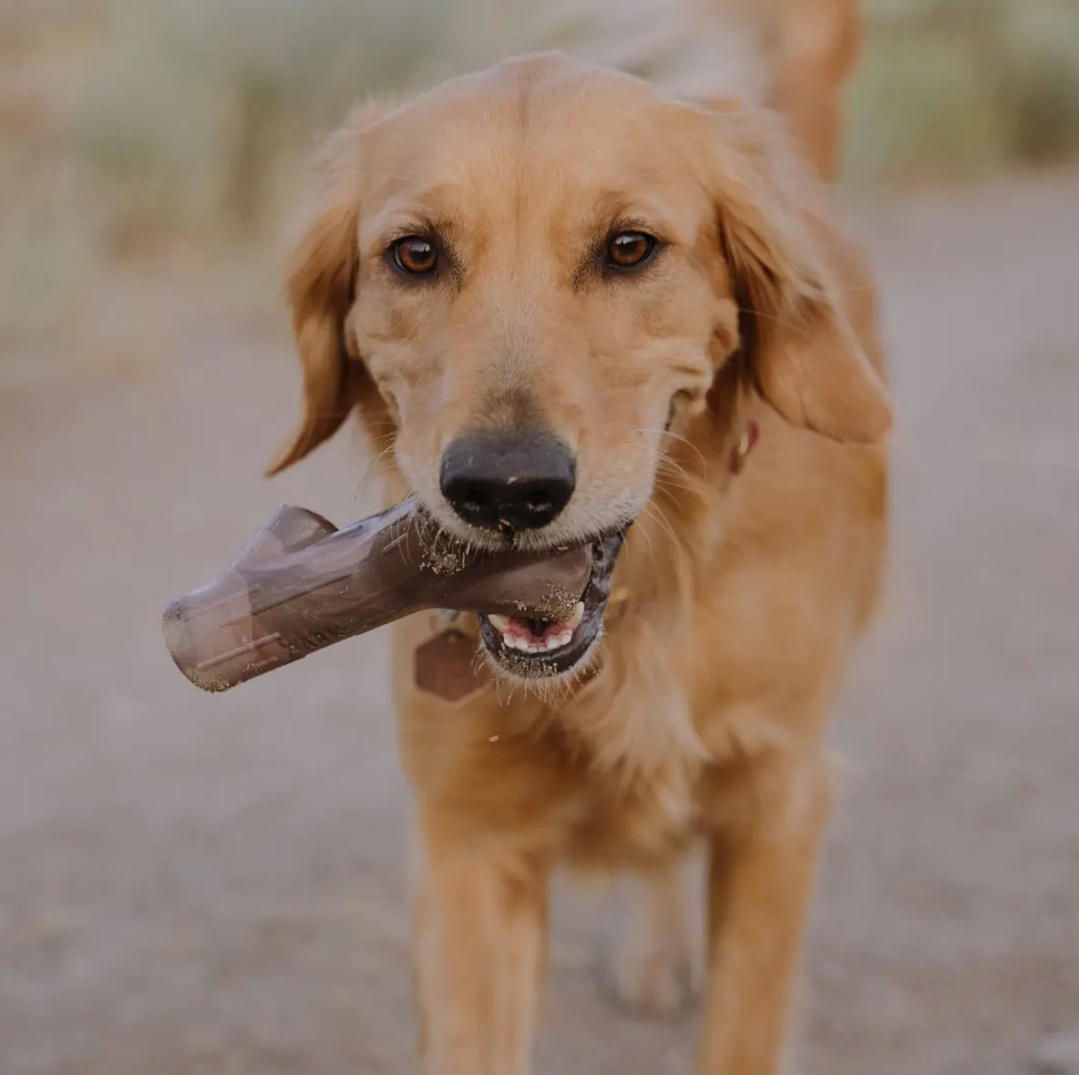Fetch Stick Super Chewer