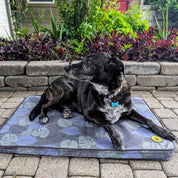 Body Glove Sun & Sand Tough Mat: Tropical Black / Medium