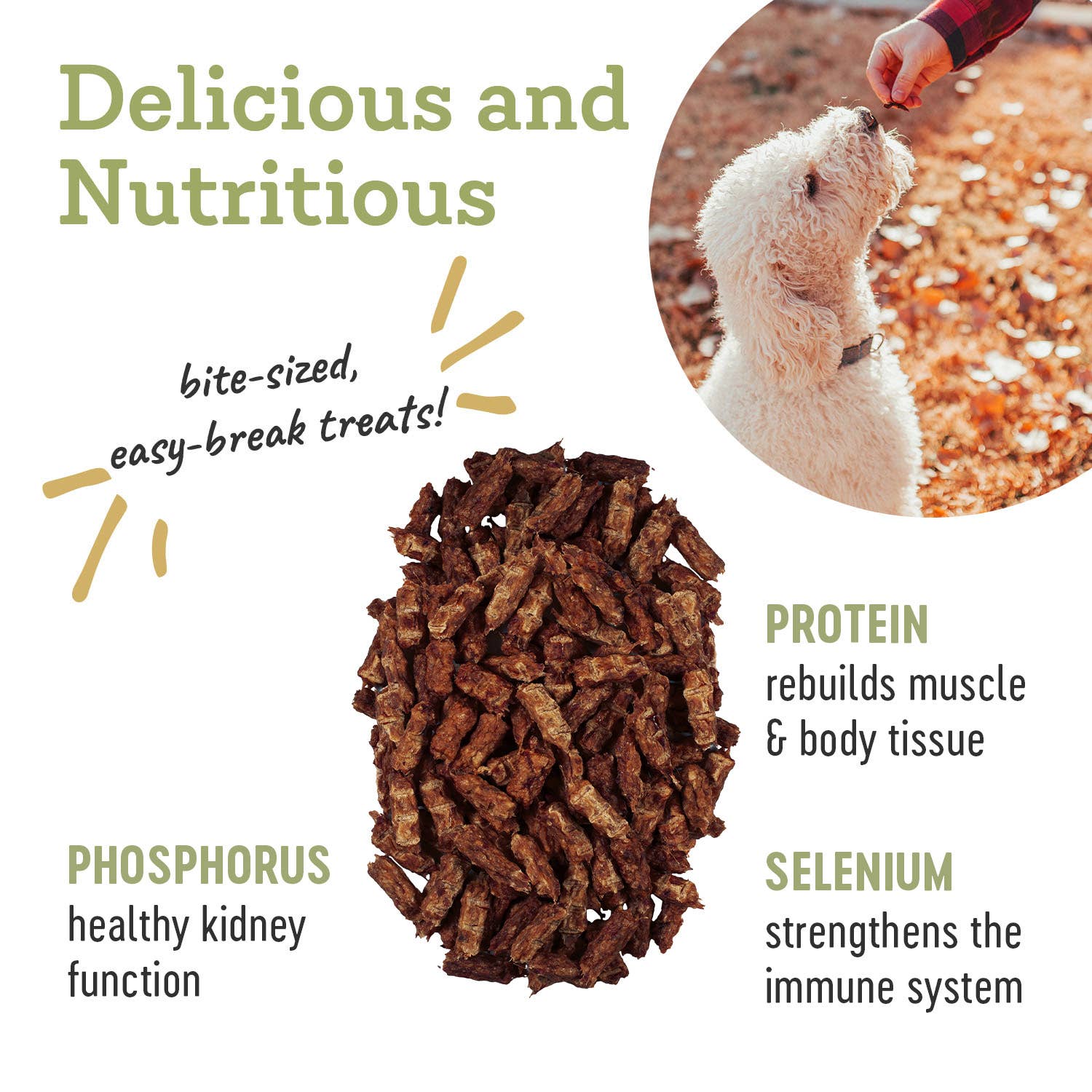 Beef Trainer - All-Natural Dog Treats - 4.5oz: 4.5oz