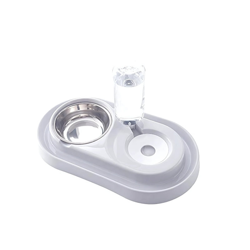 Stainless Steel Pet Bowls with Water Bottle